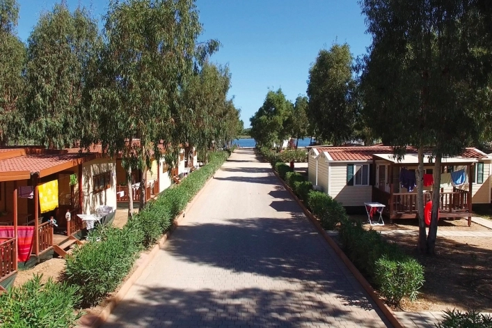 zobacz camping - zdjęcie 8
