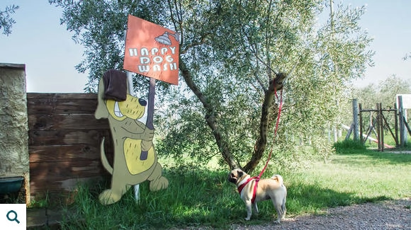 zobacz camping - zdjęcie 38