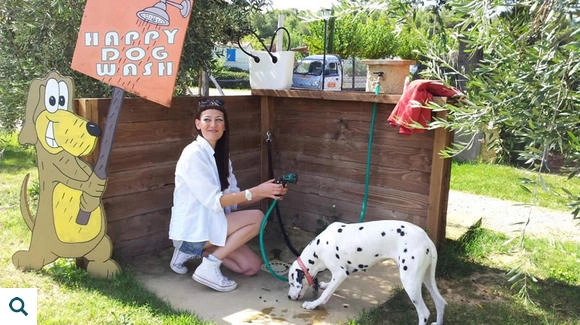 zobacz camping - zdjęcie 35