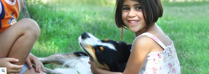 zobacz camping - zdjęcie 33