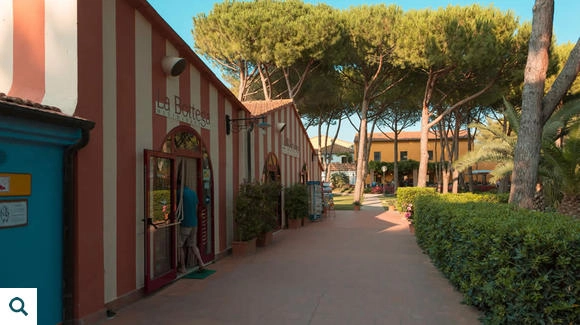 zobacz camping - zdjęcie 16