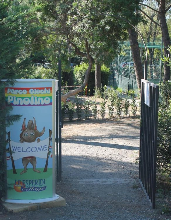 zobacz camping - zdjęcie 34