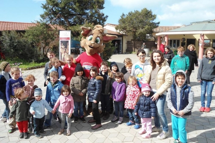 zobacz camping - zdjęcie 18