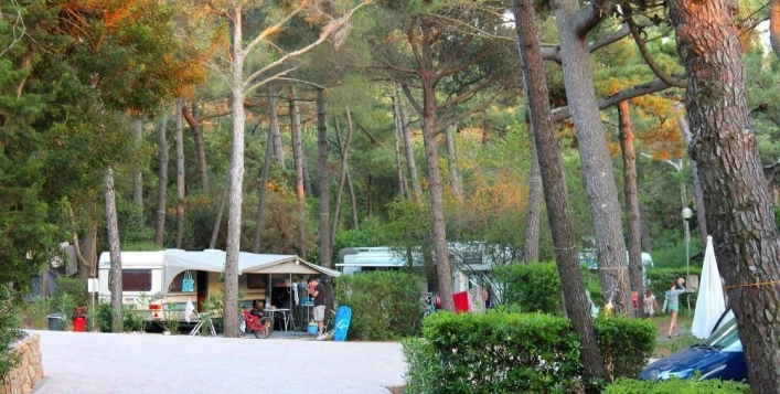 zobacz camping - zdjęcie 10