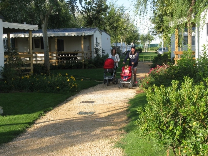 zobacz camping - zdjęcie 16