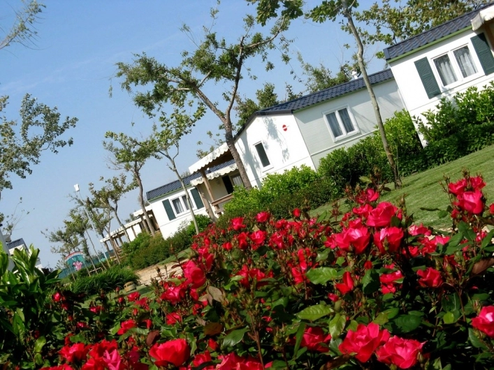 zobacz camping - zdjęcie 15