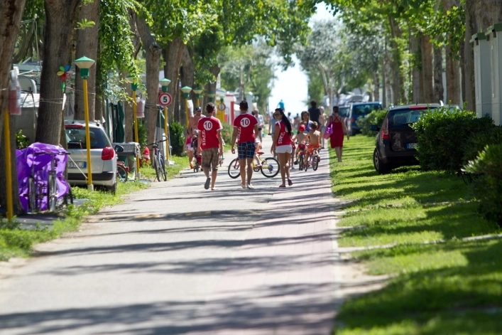 zobacz camping - zdjęcie 13