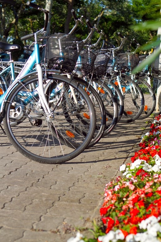 zobacz camping - zdjęcie 12