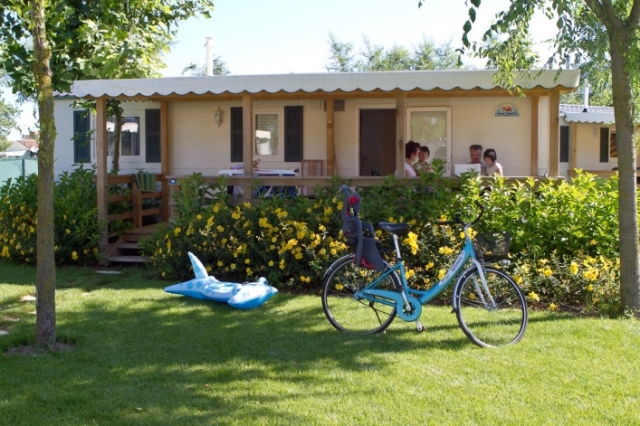 zobacz camping - zdjęcie 6