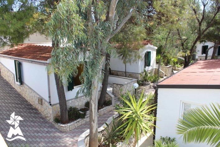 zobacz camping - zdjęcie 31