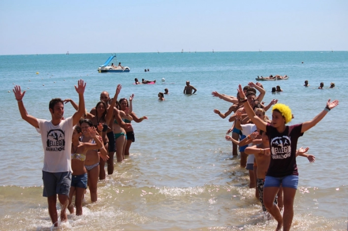 zobacz camping - zdjęcie 24