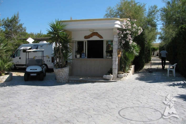 zobacz camping - zdjęcie 23