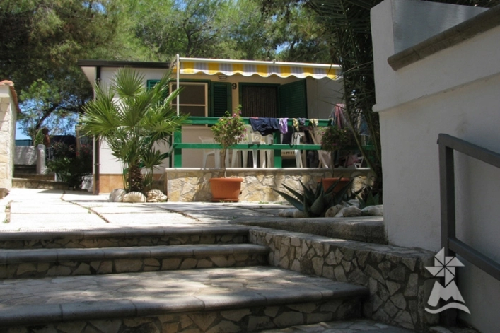 zobacz camping - zdjęcie 20