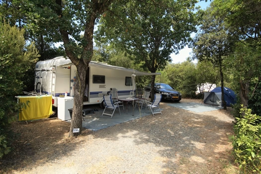 zobacz camping - zdjęcie 11