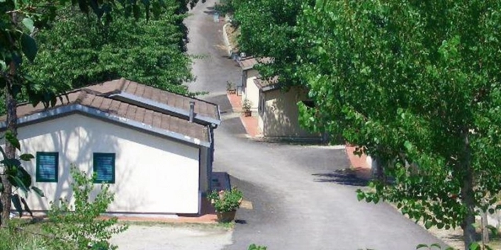 zobacz camping - zdjęcie 6