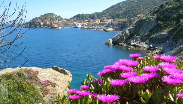 zobacz camping - zdjęcie 24