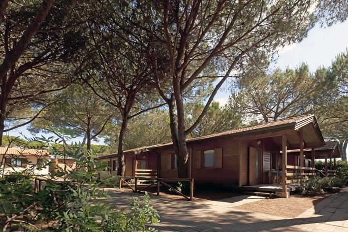 zobacz camping - zdjęcie 21