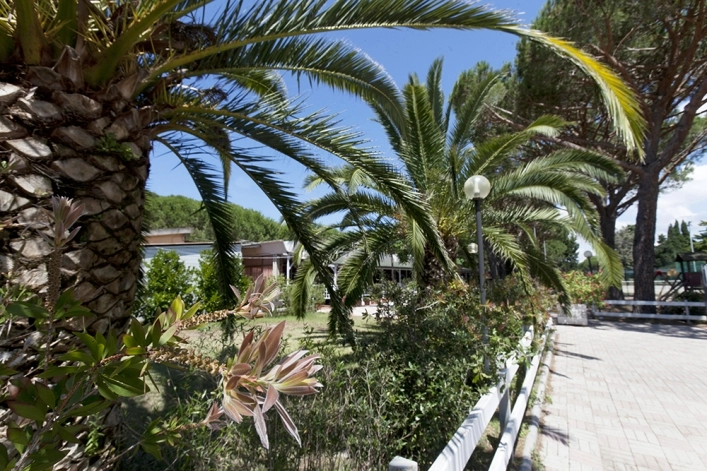 zobacz camping - zdjęcie 18