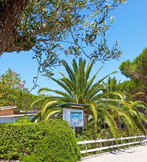 zobacz camping - zdjęcie 16