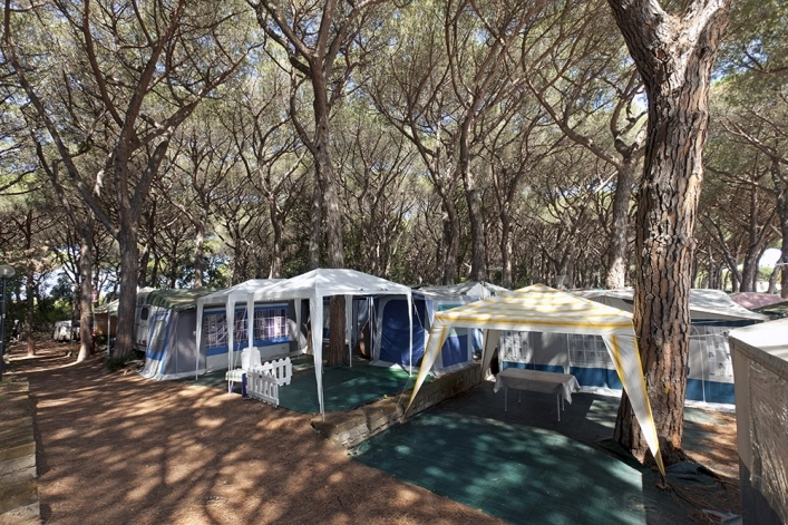 zobacz camping - zdjęcie 10