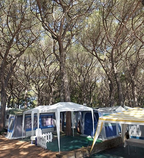zobacz camping - zdjęcie 7