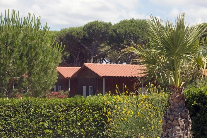 Camping Village Oasi - zdjęcie 4