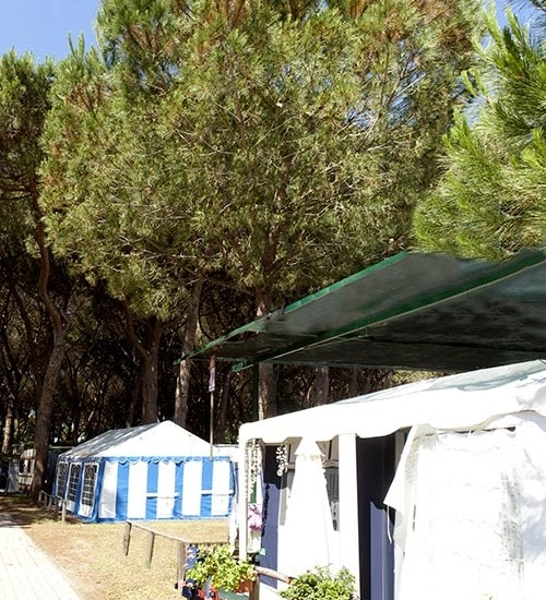 Camping Village Oasi - zdjęcie 2