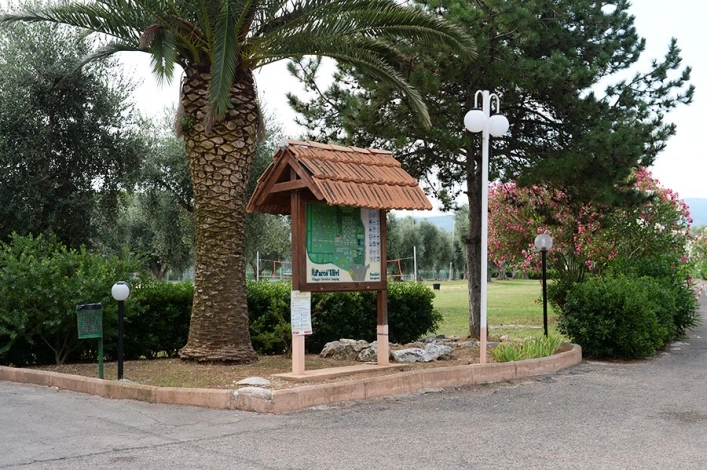 zobacz camping - zdjęcie 25