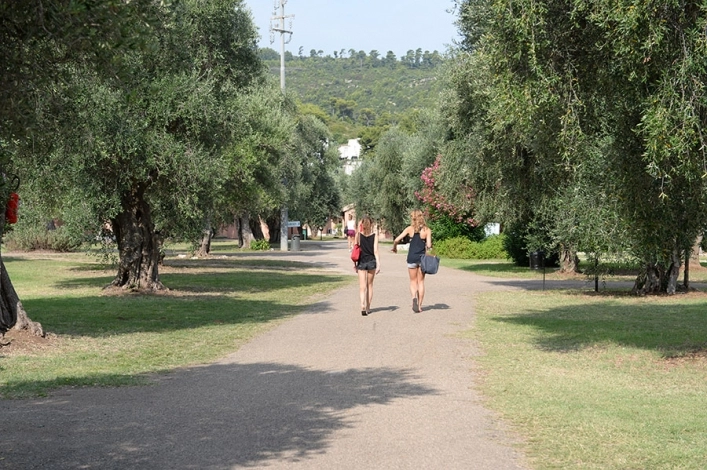 zobacz camping - zdjęcie 21