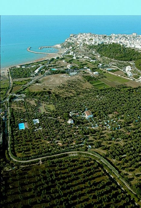 zobacz camping - zdjęcie 19