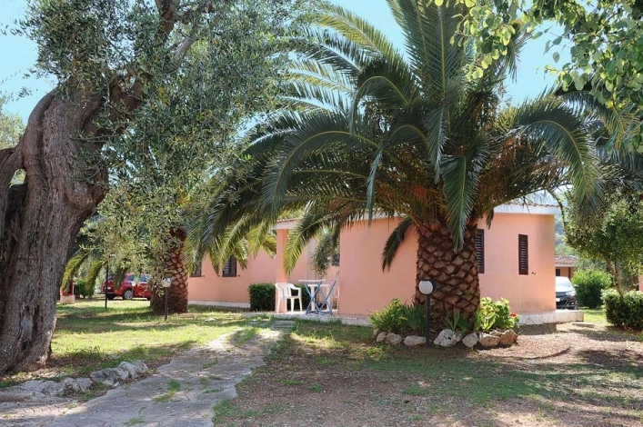 zobacz camping - zdjęcie 13