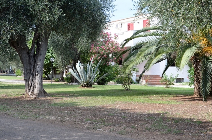 zobacz camping - zdjęcie 12