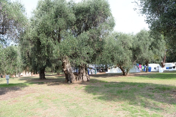 zobacz camping - zdjęcie 9