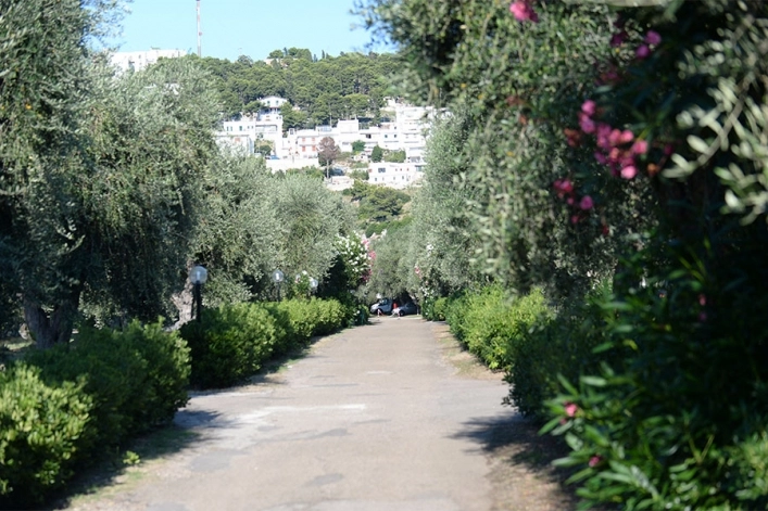 zobacz camping - zdjęcie 7