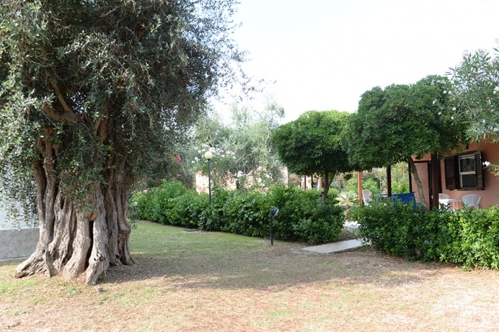 Camping Village Parco Degli Ulivi - zdjęcie 1