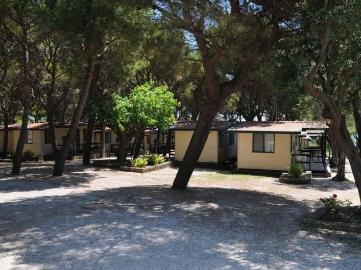 zobacz camping - zdjęcie 9