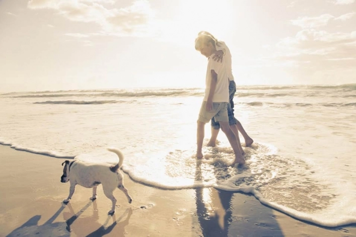 zobacz camping - zdjęcie 6