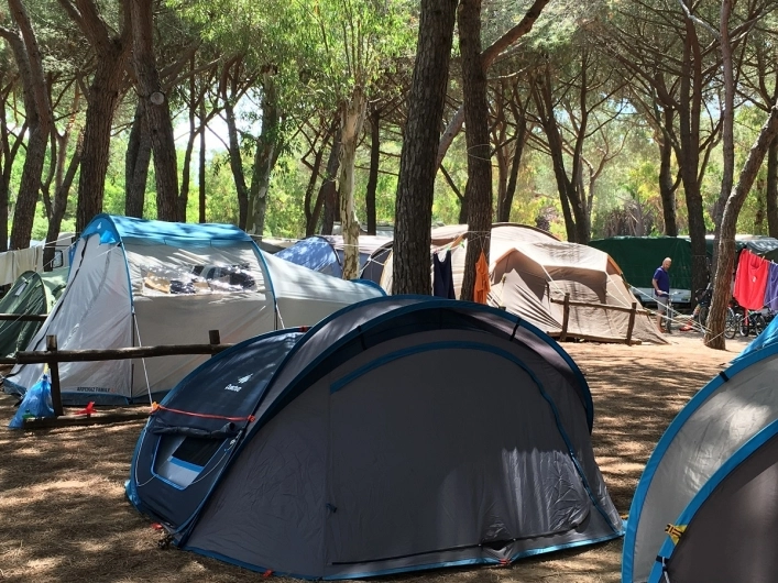 zobacz camping - zdjęcie 17