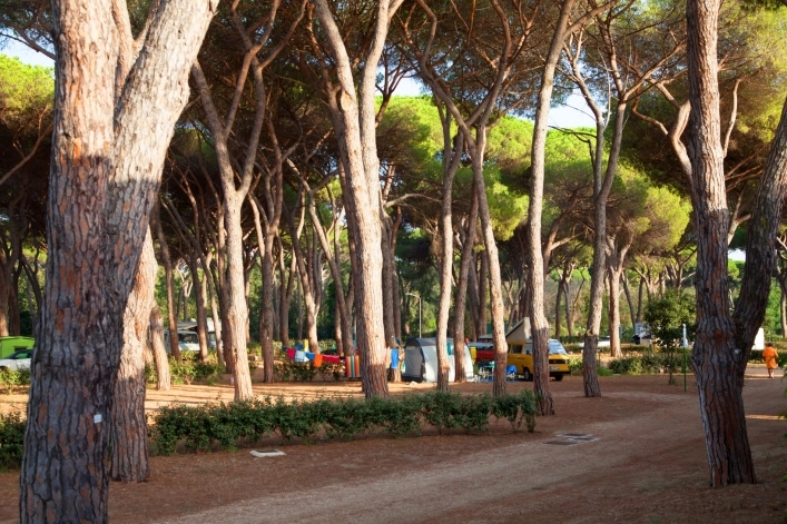 zobacz camping - zdjęcie 30