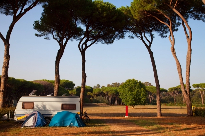 zobacz camping - zdjęcie 28