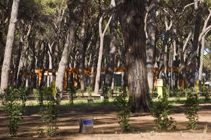 zobacz camping - zdjęcie 21