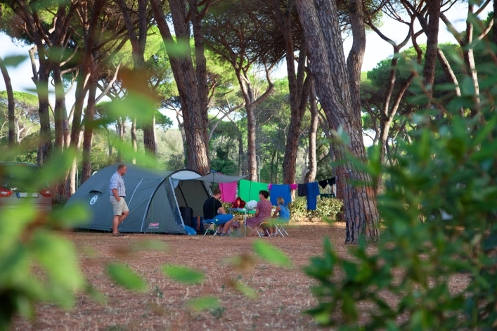 zobacz camping - zdjęcie 20