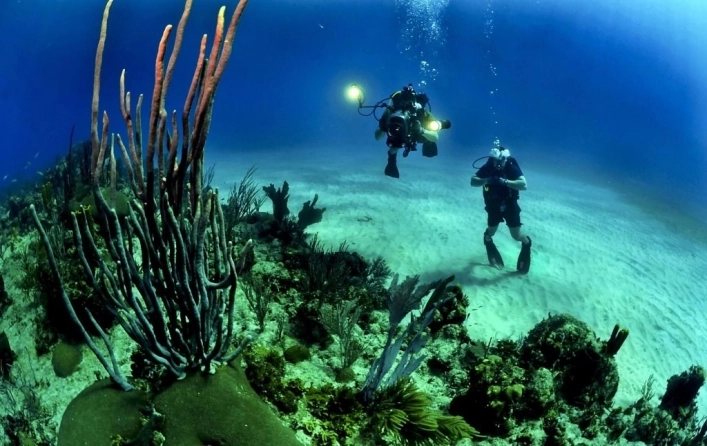 Camping Village Roma Capitol - zdjęcie 4