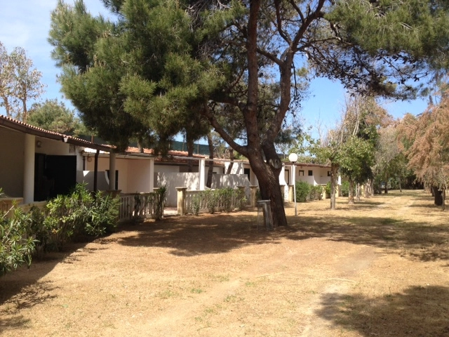 zobacz camping - zdjęcie 27