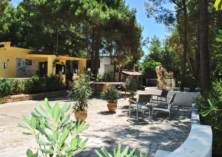 zobacz camping - zdjęcie 26