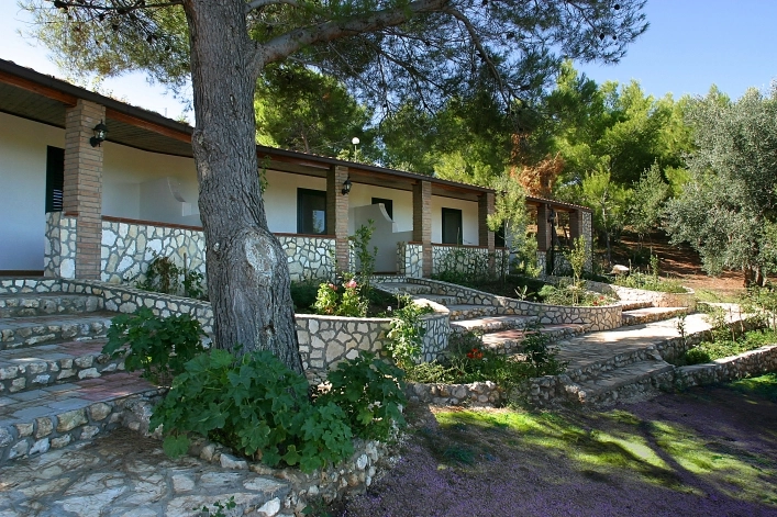 zobacz camping - zdjęcie 25