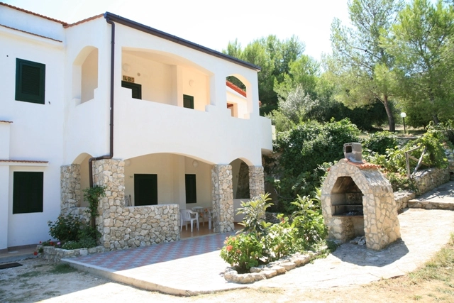 zobacz camping - zdjęcie 19