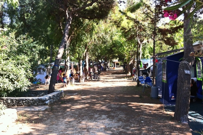 zobacz camping - zdjęcie 18