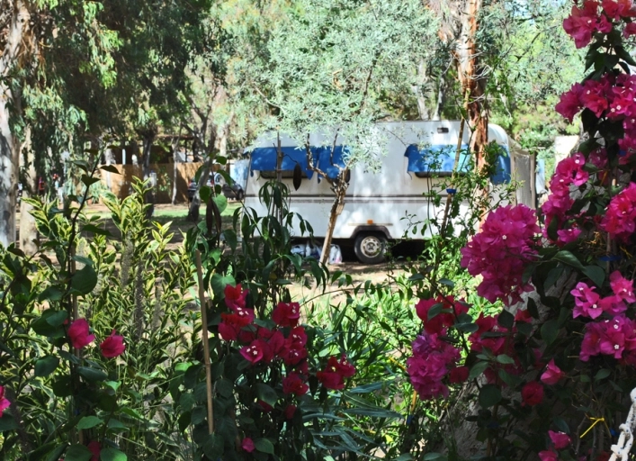 zobacz camping - zdjęcie 17