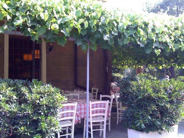 zobacz camping - zdjęcie 35